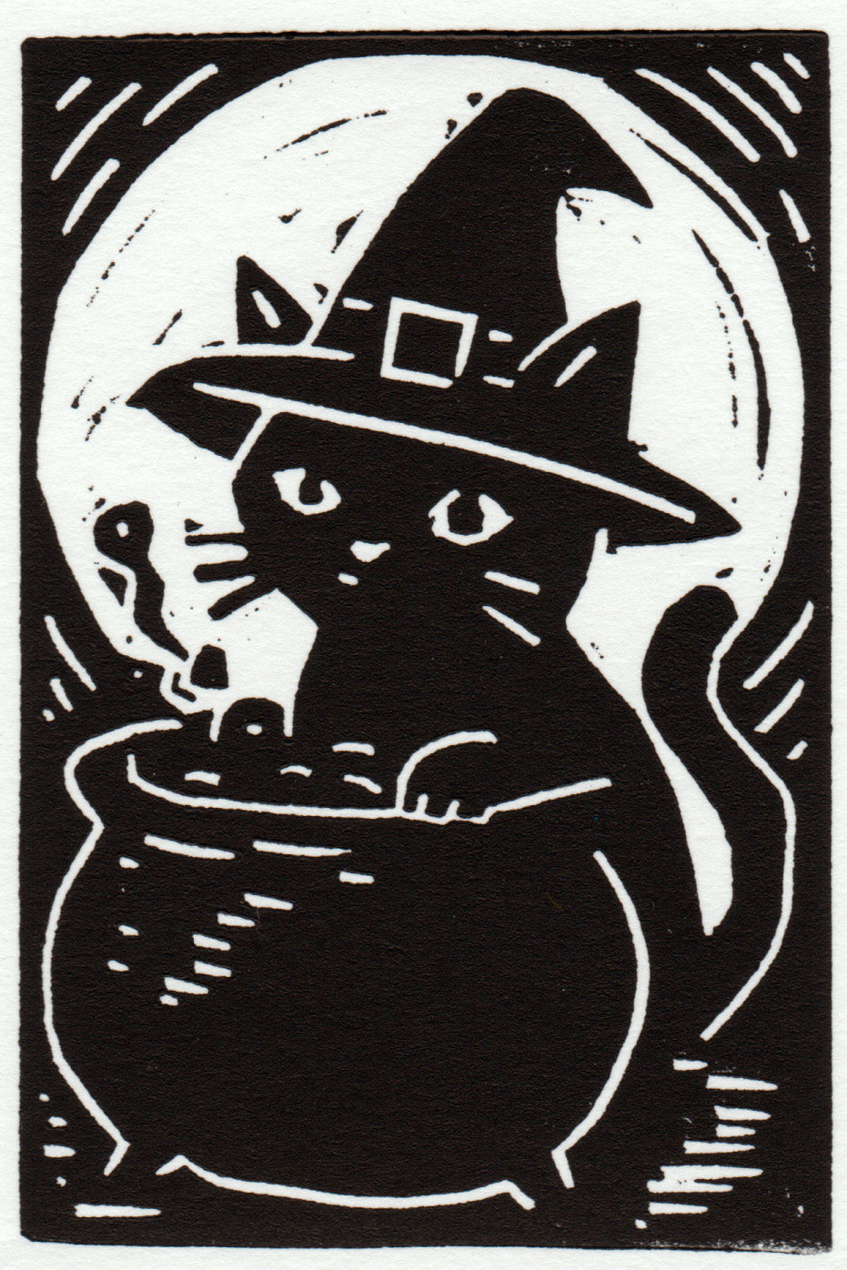 Whiskers Brew 2025